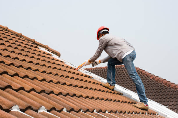 Best Roof Coating and Sealing  in Murrieta, CA